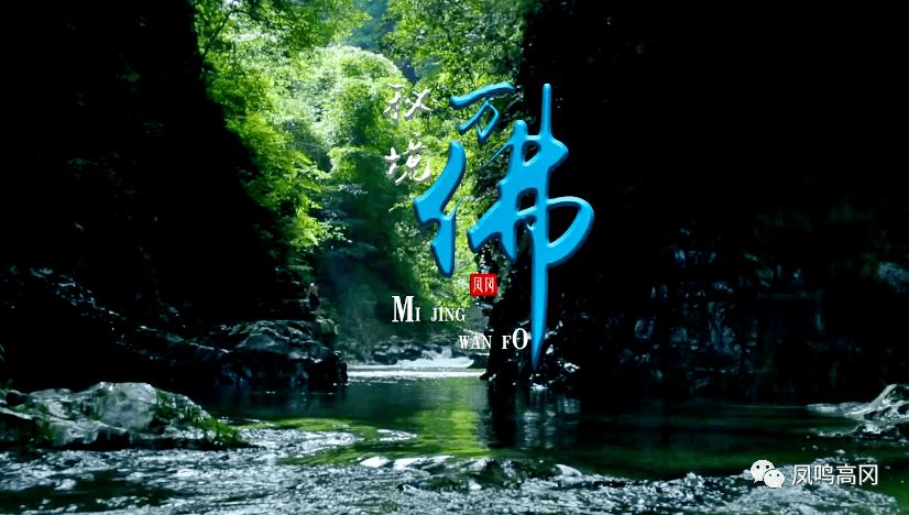 领略未知世界,发现冷知识 - 高腰褶皱露脐小衫与喇叭裤相遇,会有什么样的时尚感?冷知识平台